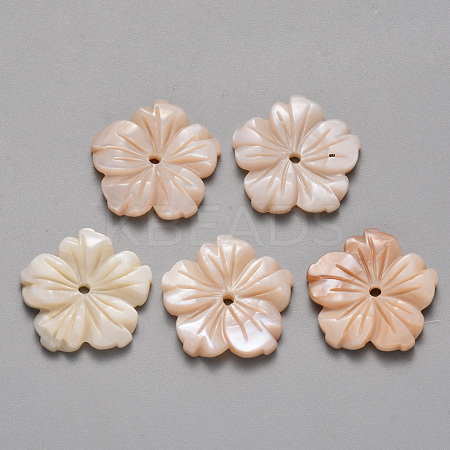 Natural Pink Shell Beads SSHEL-R044-04-1