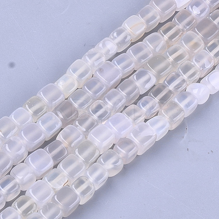 Natural Agate Beads Strands G-T121-04D-1