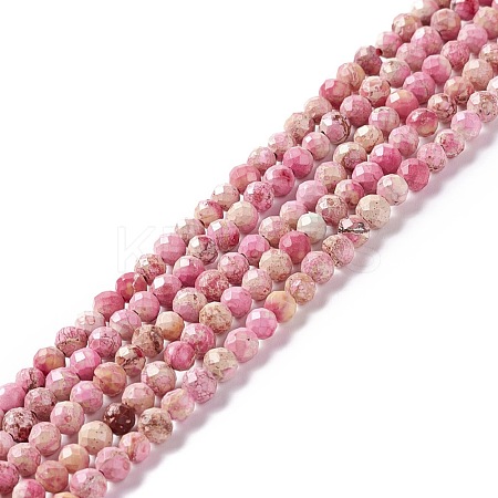 Natural Imperial Jasper Beads Strands G-L578-A06-1