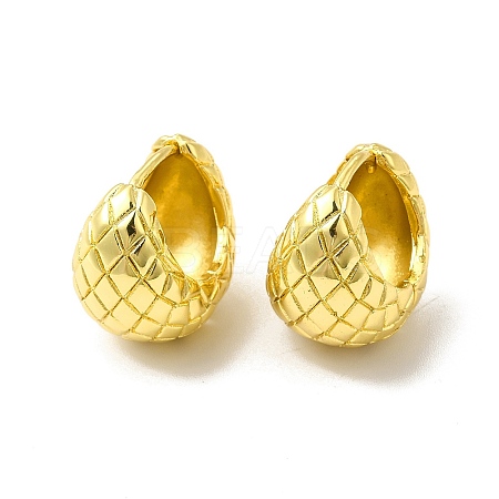 Rack Plating Brass Chubby Hoop Earrings for Women EJEW-H091-40G-1