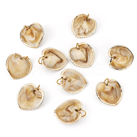 10Pcs Natural Shell Pendants PALLOY-TAC0204-1