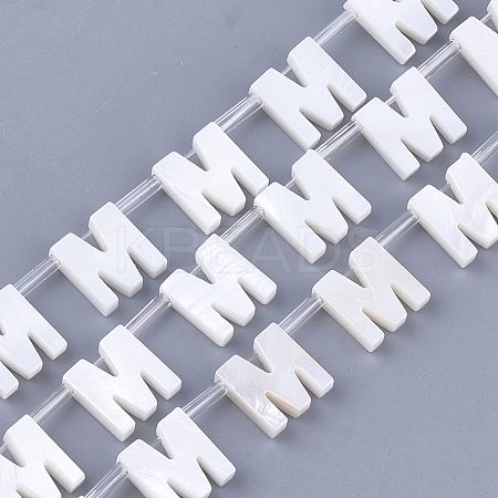 Natural Freshwater Shell Beads SHEL-T012-59M-1
