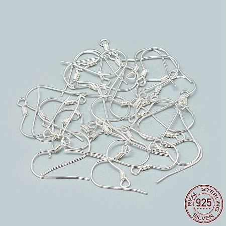 925 Sterling Silver Earring Hooks STER-T002-170S-1