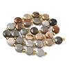 Natural Picture Jasper Beads Strands G-G271-C04-10mm-3