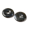 Natural Labradorite Pendants G-F524-H09-2