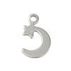 Non-Tarnish 201 Stainless Steel Charms STAS-C108-61P-1