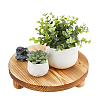 Wood Round Plant Saucer AJEW-WH0473-07A-1