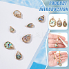 12Pcs 3 Styles Natural Paua Shell Pendants SHEL-BC0001-038-4