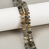 Natural Labradorite Beads Strands G-F796-A05-01-1
