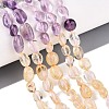 Natural Rose Quartz & Amethyst & Citrine(Heated) & Prehnite Beads Strands G-N371-01A-01-2