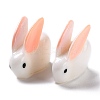 Rabbit Plastic Display Ornaments DJEW-C004-02-3