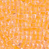Transparent Inside Colours Glass Seed Beads SEED-T007-11G-2