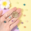 12Pcs 6 Styles Natural Prehnite & Rose Quartz & Amethyst & Apatite & Sunstone & Amazonite Beads G-YW0002-29-4