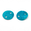 Spray Painted Natural Capiz Shell Connector Charms SSHEL-N039-03-3