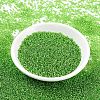 MIYUKI Round Rocailles Beads SEED-X0054-RR2423-2