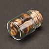 Transparent Glass Wishing Bottle Decoration DJEW-A001-01C-12-3