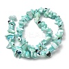 Natural Trochid Shell/Trochus Shell Beads Strands SHEL-B003-02K-2