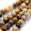 Natural Crazy Lace Agate Beads Strands G-G763-10-6mm-1