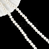 Glass Pearl Beads Strands SHEL-WH0001-009A-1-1