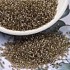 MIYUKI Delica Beads SEED-X0054-DB2396-1