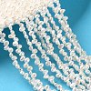 Natural Cultured Freshwater Pearl Beads Strands PA-CBABE82-02B-1