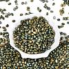 Picasso Glass Seed Beads SEED-N012-10K-2