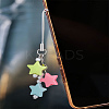 1Pc Resin with Alloy and Nylon Cord Mobile Accessories Decoration HJEW-LP0002-12E-3