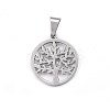 Non-Tarnish 304 Stainless Steel Pendants STAS-P209-14P-2