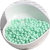 Macaron Baking Paint Glass Seed Beads PW-WGB8861-25-1