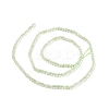 Natural Prehnite Beads Strands G-C009-B21-3