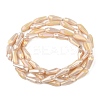 Electroplated Opaque Glass Beads Strands X-EGLA-L015-FR-B25-01-3