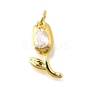 Brass Micro Pave Cubic Zirconia Pendants KK-Z102-01G-01-2