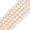 Natural Cultured Freshwater Pearl Beads Strands PEAR-I007-07J-10A-2