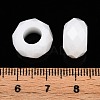 Glass European Beads LS-GDA007-100-4
