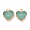 Resin with Golden Zinc Alloy Charms LS-RESI-CJC0009-04D-1