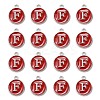 Platinum Plated Alloy Enamel Charms LS-ENAM-S118-03F-P-2