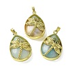 Natural Flower Amazonite Pendants G-G900-01G-29-1