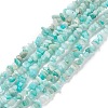 Natural Exotic Amazonite Chips Beads Strands F070-1-1