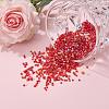 Glass Seed Beads X-SEED-S059-007-8