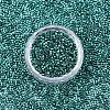FGB 11/0 Grade A Glass Seed Beads SEED-S030-1216-3