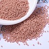 MIYUKI Delica Beads LS-X-SEED-J020-DB1363-1