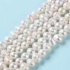 Natural Cultured Freshwater Pearl Beads Strands PEAR-E018-10-2
