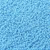 MIYUKI Round Rocailles Beads SEED-X0056-RR0413-2