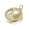 Brass Micro Pave Clear Cubic Zirconia Pendants KK-V010-11G-2