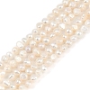 Natural Cultured Freshwater Pearl Beads Strands PEAR-P064-19B-04A-2