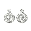Non-Tarnish 304 Stainless Steel Charms LS-STAS-L269-056P-2