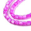 Natural Freshwater Shell Beads Strands SHEL-N003-33-A05-3