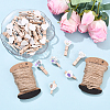 100Pcs 2 Styles Spray Painted Wooden Craft Pegs Clips DIY-YW0017-36-4