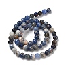 Natural Sodalite Beads Strands GSR6mmC013-1-5