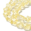 Transparent Glass Beads Strand GLAA-F112-02D-4